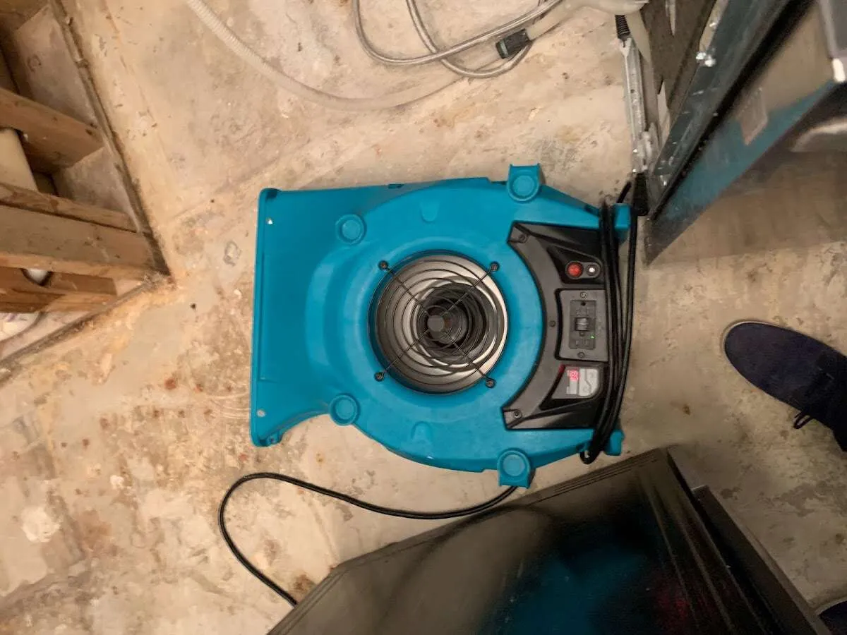 Air mover drying equipment for Mold Remediation & Removal in Alpharetta
